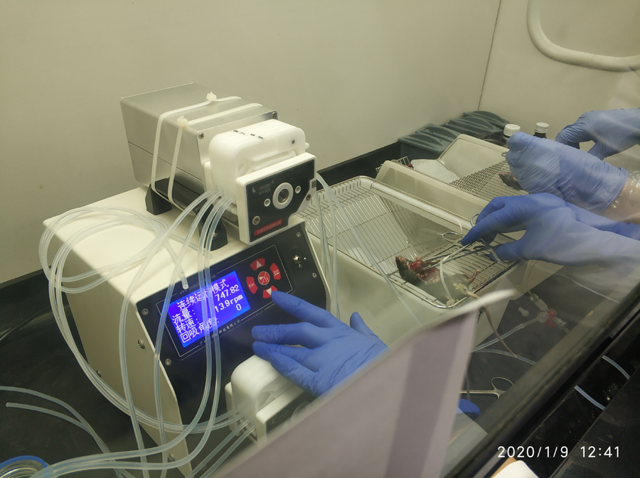 1581673571703576.jpg 1581673571703576.jpg